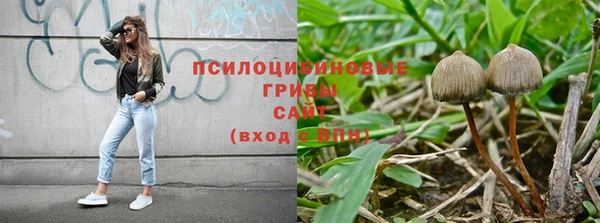 трава Бронницы