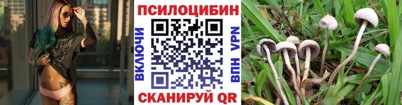 Псилоцибиновые грибы Magic Shrooms Купить Ворсма