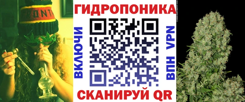 Бошки марихуана Bruce Banner  Купить где  Ворсма 